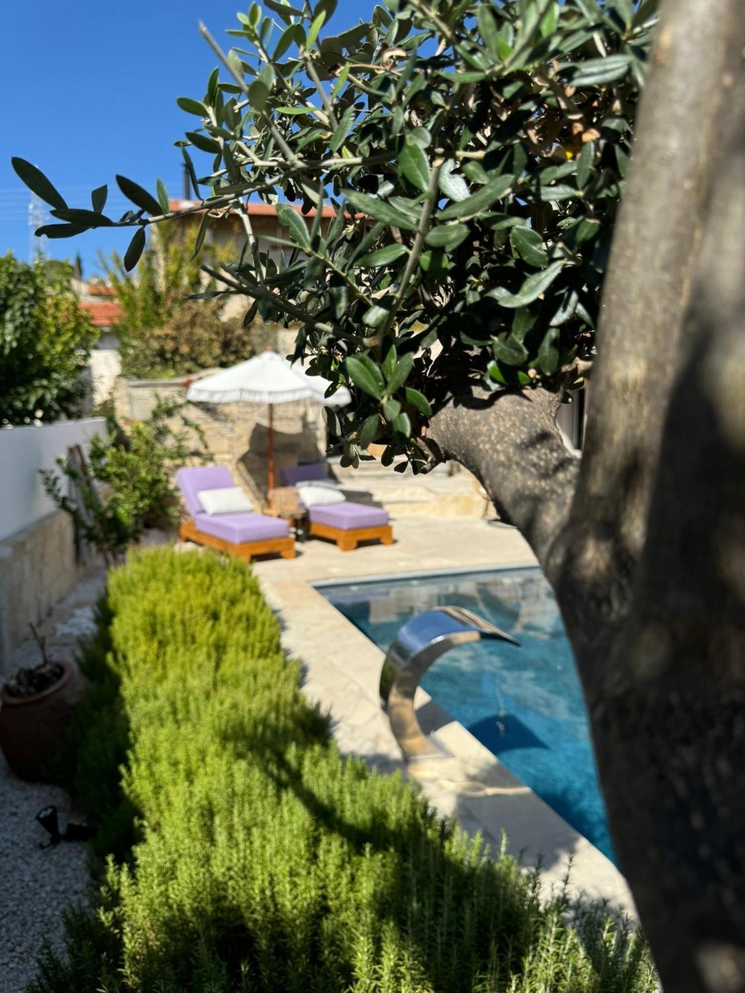 Fig&Olive Luxury One Bedroom Boutique In Pachna Limassol Ngoại thất bức ảnh